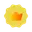 Serveur Premium