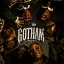Gotham 🏆 #🇨🇩
