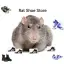 rat shoe store