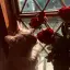 ̶𝑨𝒚𝒖𝒏𝒂𝒁  #FR