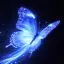🦋_••°𝐄.𝐋.𝐎.𝐑.𝐈.𝐀°••_🦋