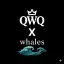 👕QWQ X WHALES🌊