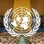 Organisation des Nations Unies