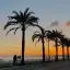 𝙕𝙔𝙏𝙃𝙀𝙍𝙄𝘼 - 🌴