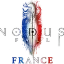 Nodusfall France