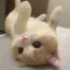 Cat Lounge 🍹| Ask To DM・Social・YouTube・Hangout・Cozy・Emojis・Gaming・Voice・Grow A Garden