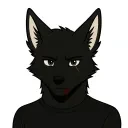 Avatar de dogall6695