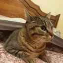 Avatar de romain6140