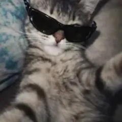 Avatar de 
