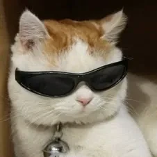 Avatar de leMecha