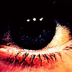 Avatar de friteabc
