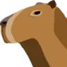 Icône de 🌿︲Capybara's Gang [ CAPY ] ︲dscgg.be/capy