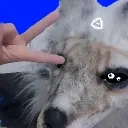 Icône de 💙La Dynastie Des Alter-Humain╶⃝⃤