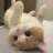 Icône de Cat Lounge 🍹| Ask To DM・Social・YouTube・Hangout・Cozy・Emojis・Gaming・Voice・Grow A Garden